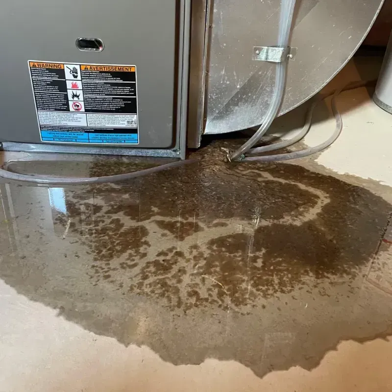 Appliance Leak Cleanup in Paradise Hills, NM